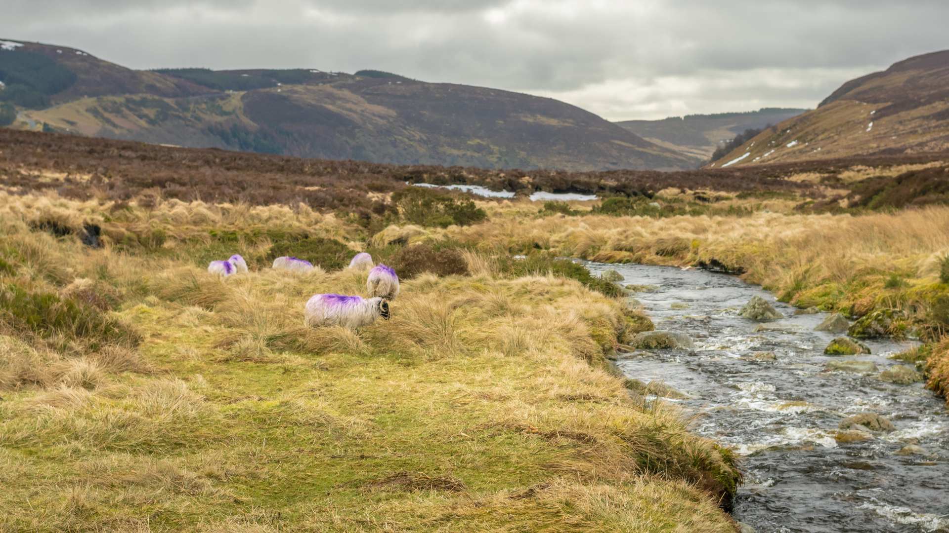 Best photo hikes in Ireland – scenic coastal trail