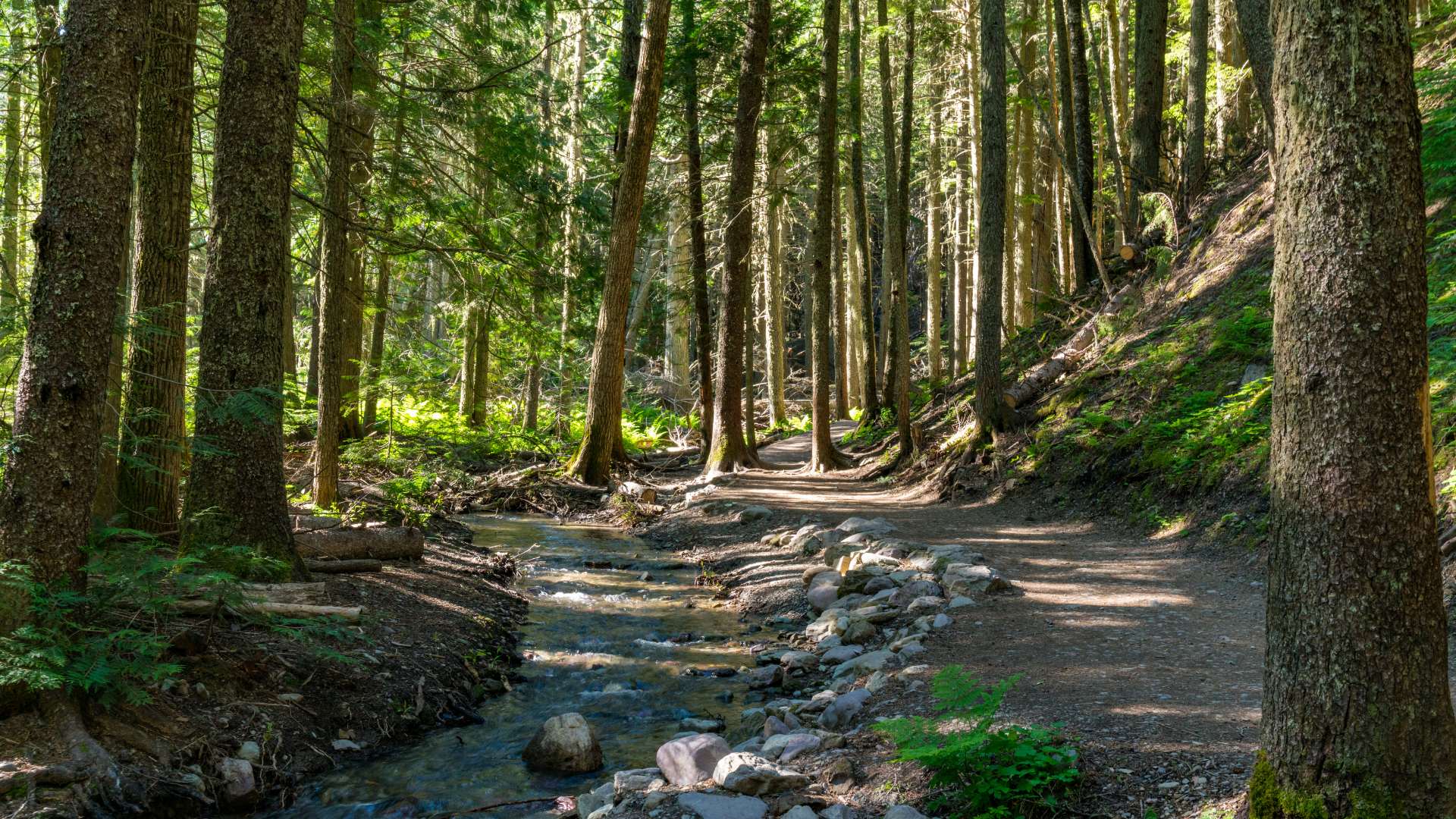 Best photo hikes in Ireland – scenic coastal trail