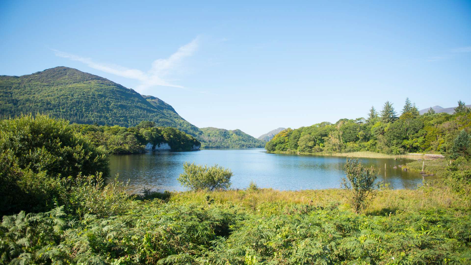 top natural beauties in Ireland - a scenic lake