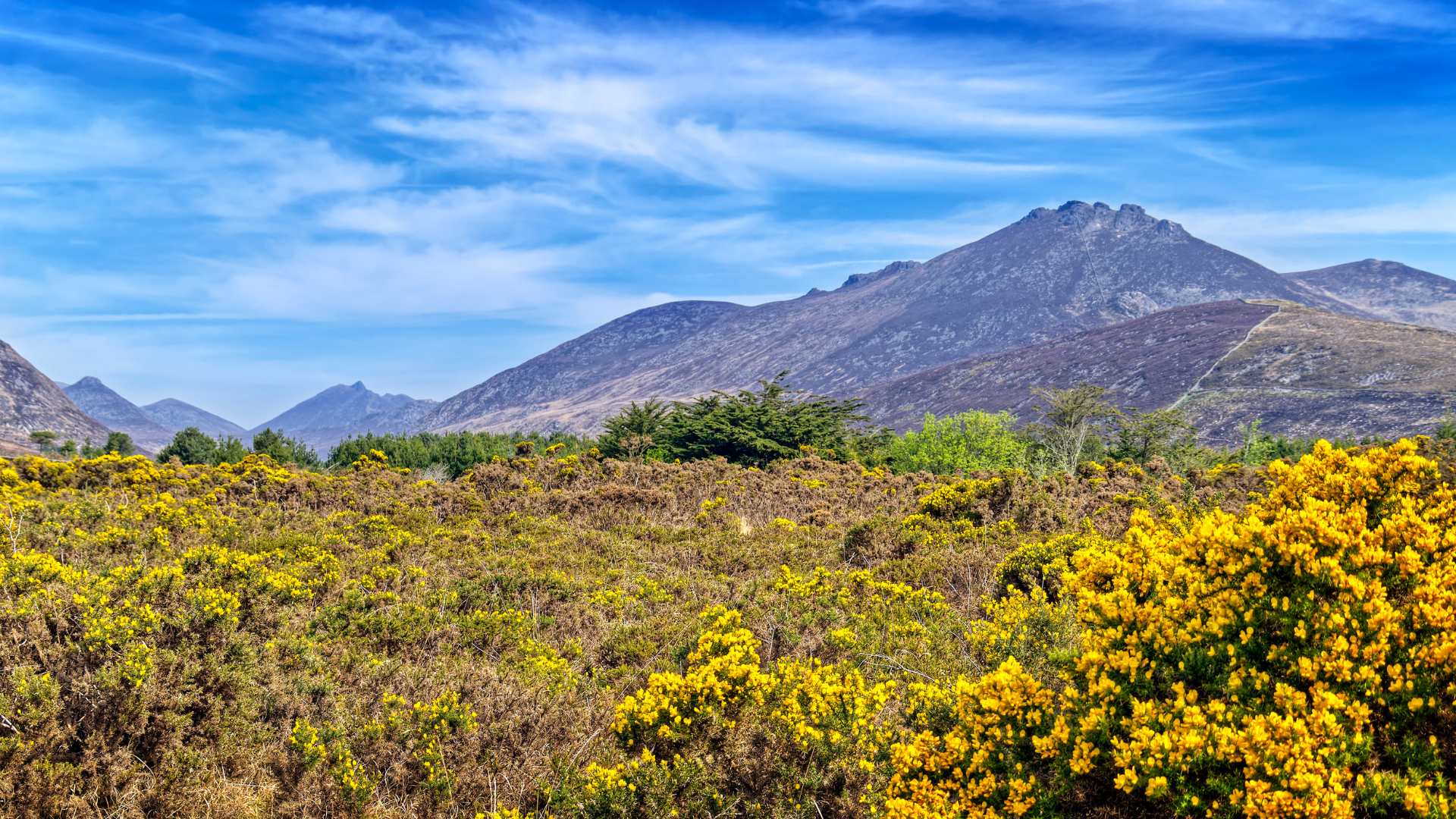top natural beauties in ireland - scenic view