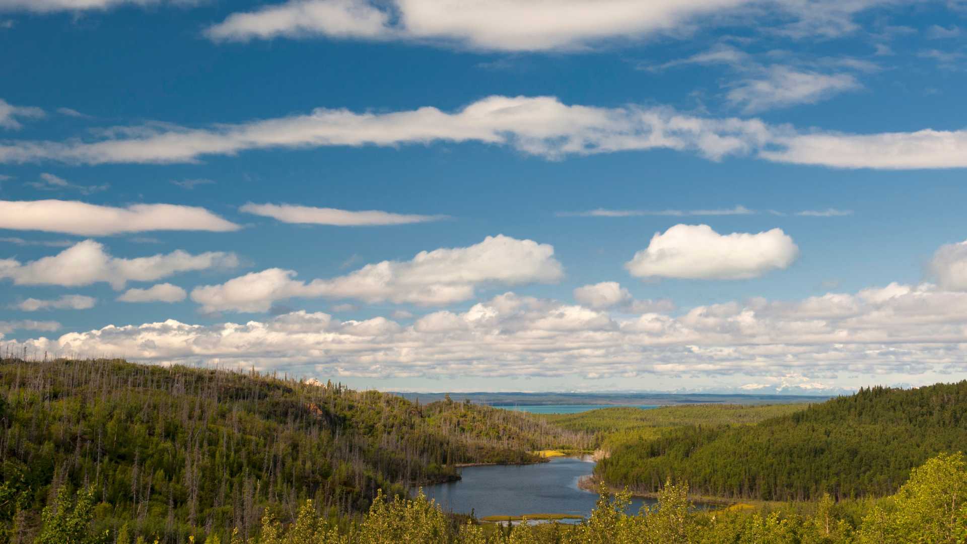 top natural beauties in ireland - scenic peninsula