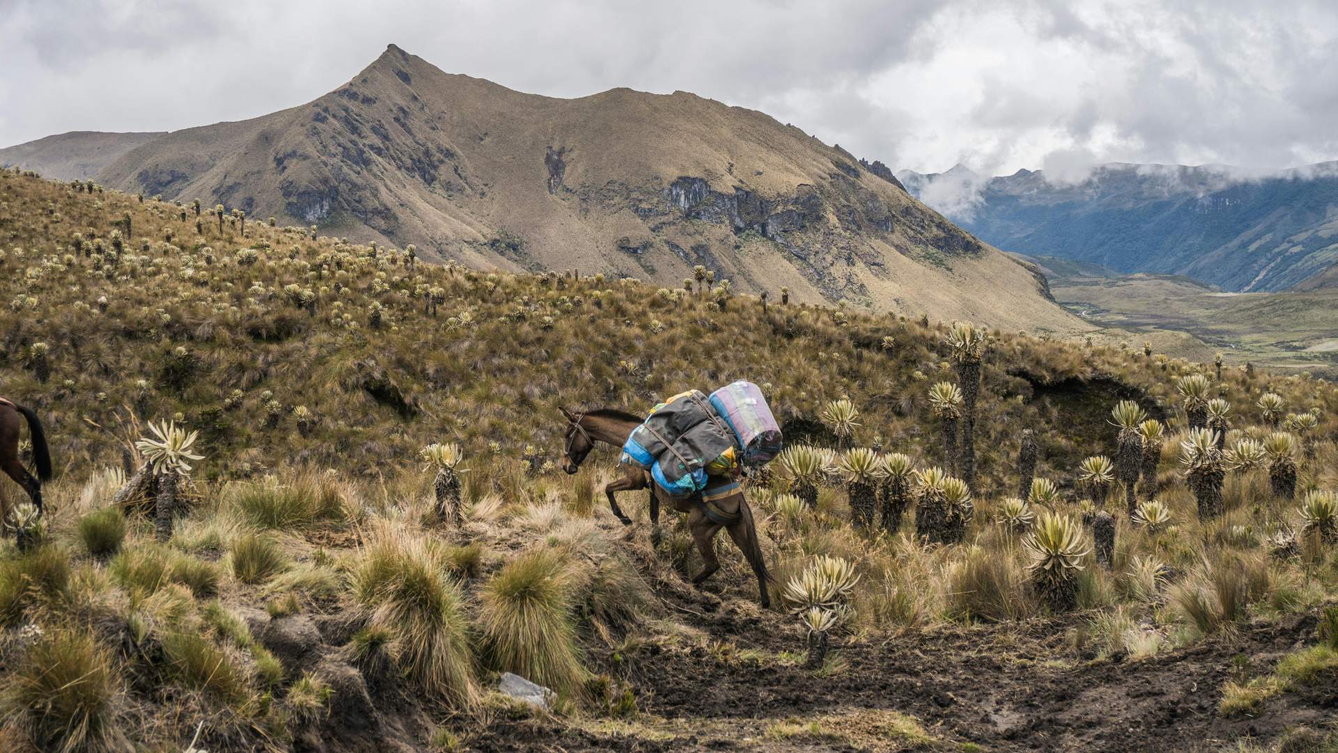 top natural beauties in Ireland - a mountain