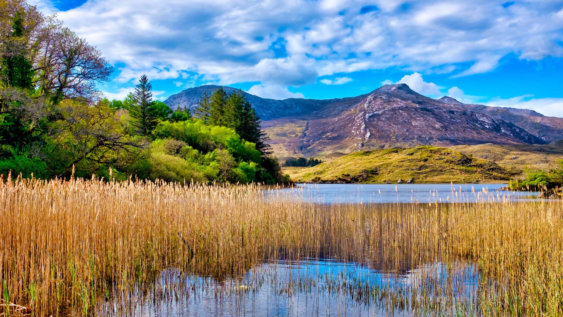 top natural beauties in Ireland - a scenic lake