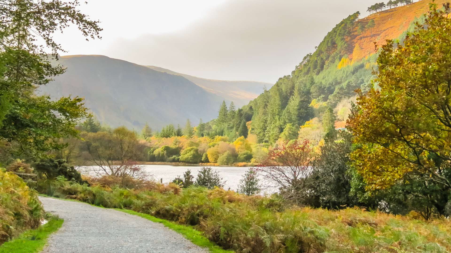 top natural beauties in Ireland - scenic lake